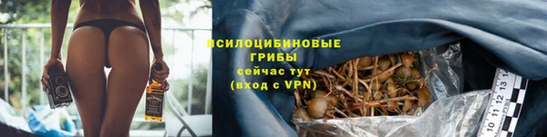 ешки Балахна