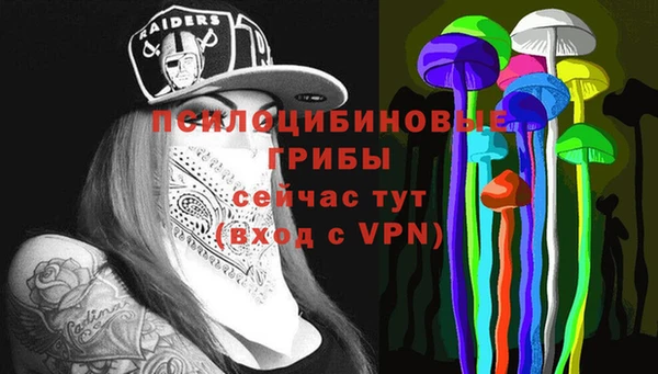 ешки Балахна