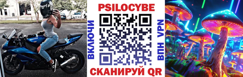 Галлюциногенные грибы Psilocybe  Александровское 